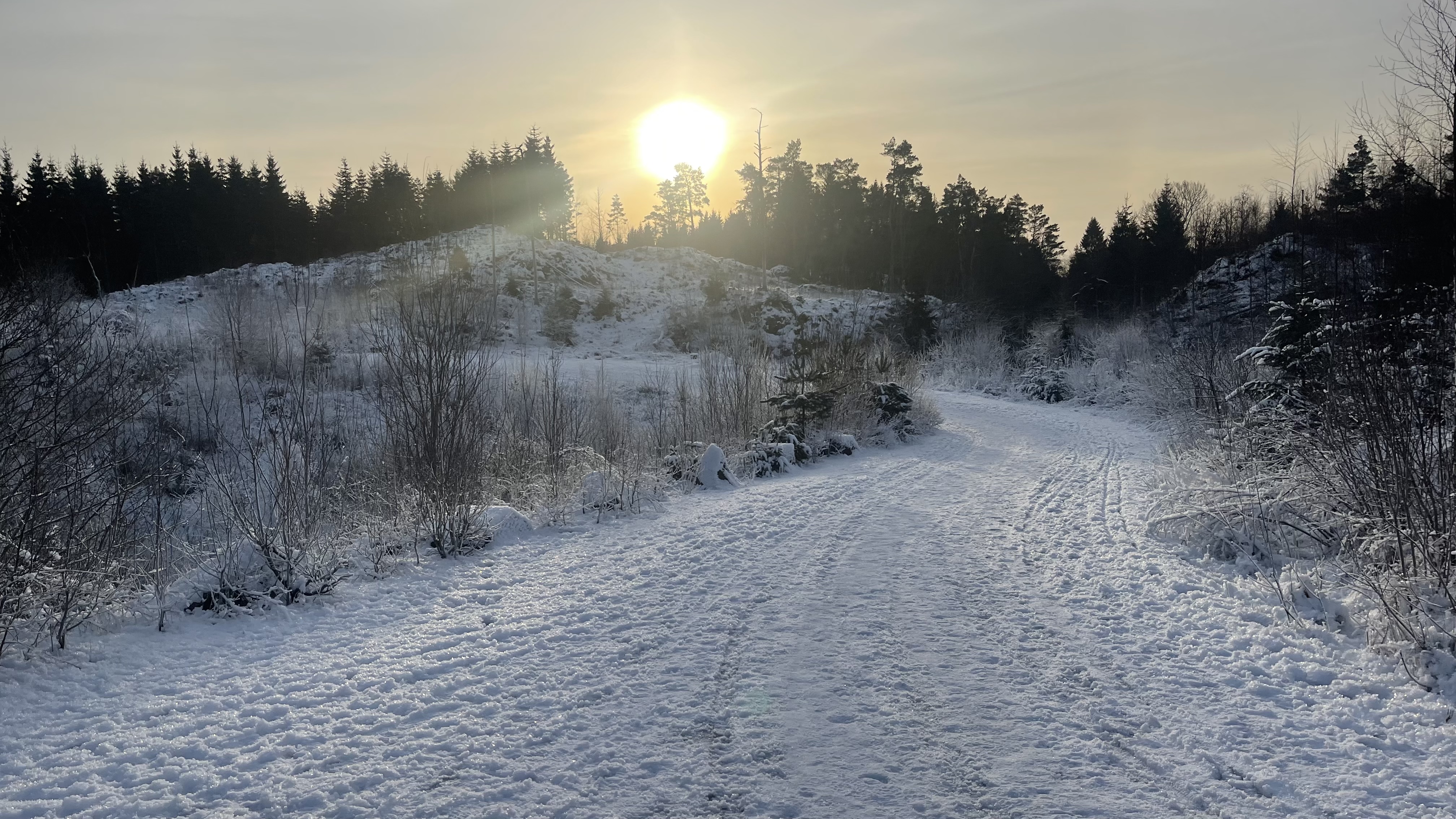 Search for Code Snippets